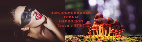 прущий лед Вяземский