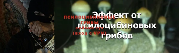 дживик Гусиноозёрск