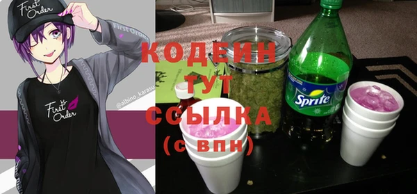 прущий лед Вяземский